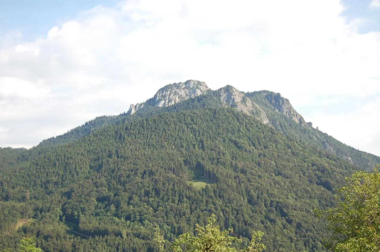 Bauernhof Villa Schoberhof Samerberg